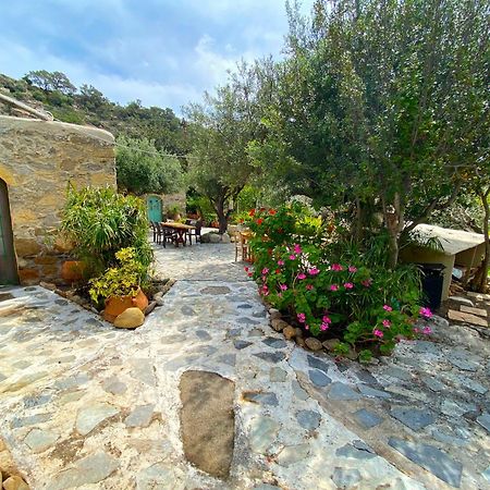 Natura Cottages Makrýgialos Екстериор снимка