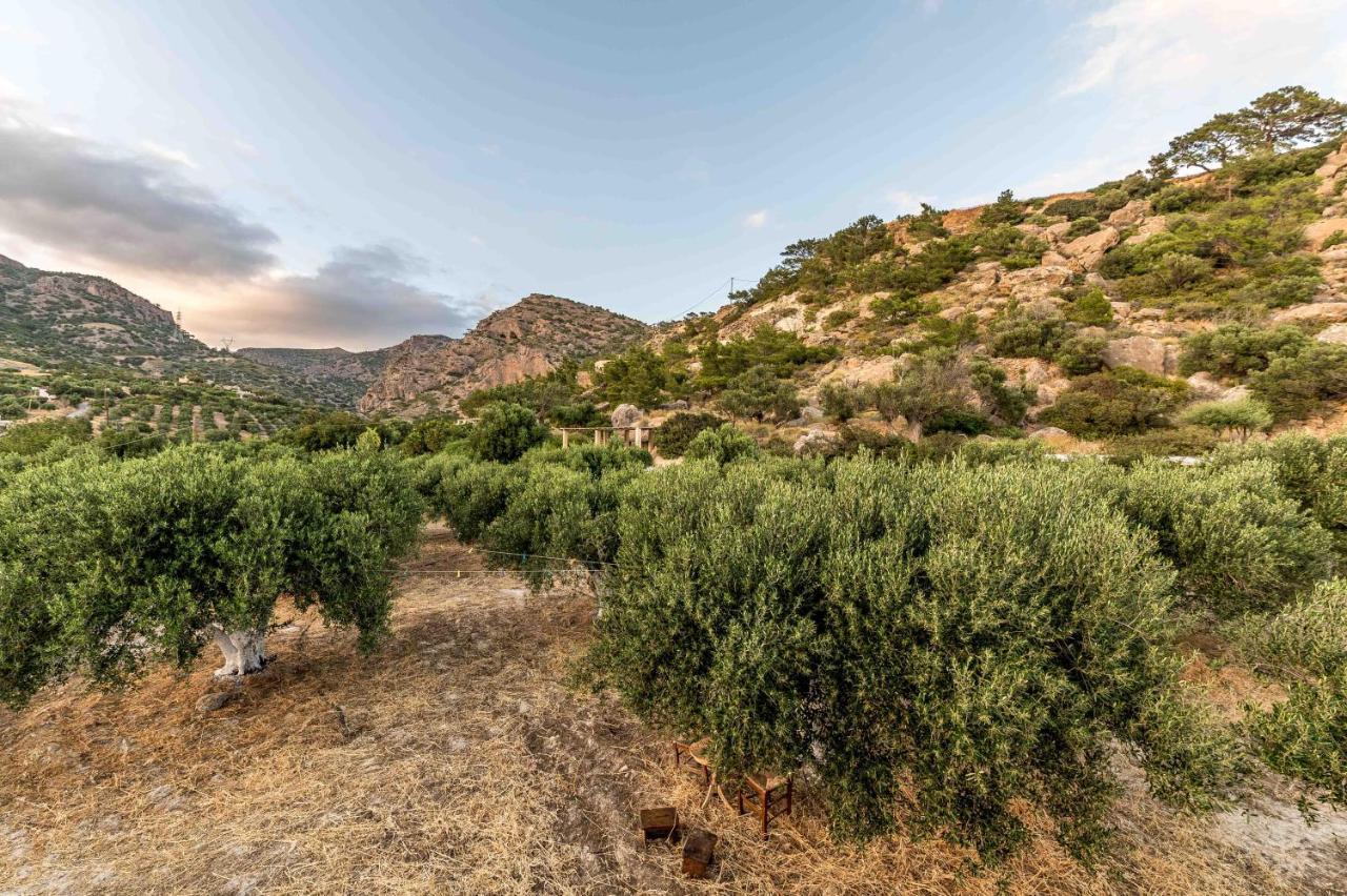 Natura Cottages Makrýgialos Екстериор снимка